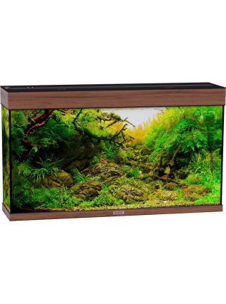 Аквариум Аквас без тумбы, 230 л (121х31х70) см
